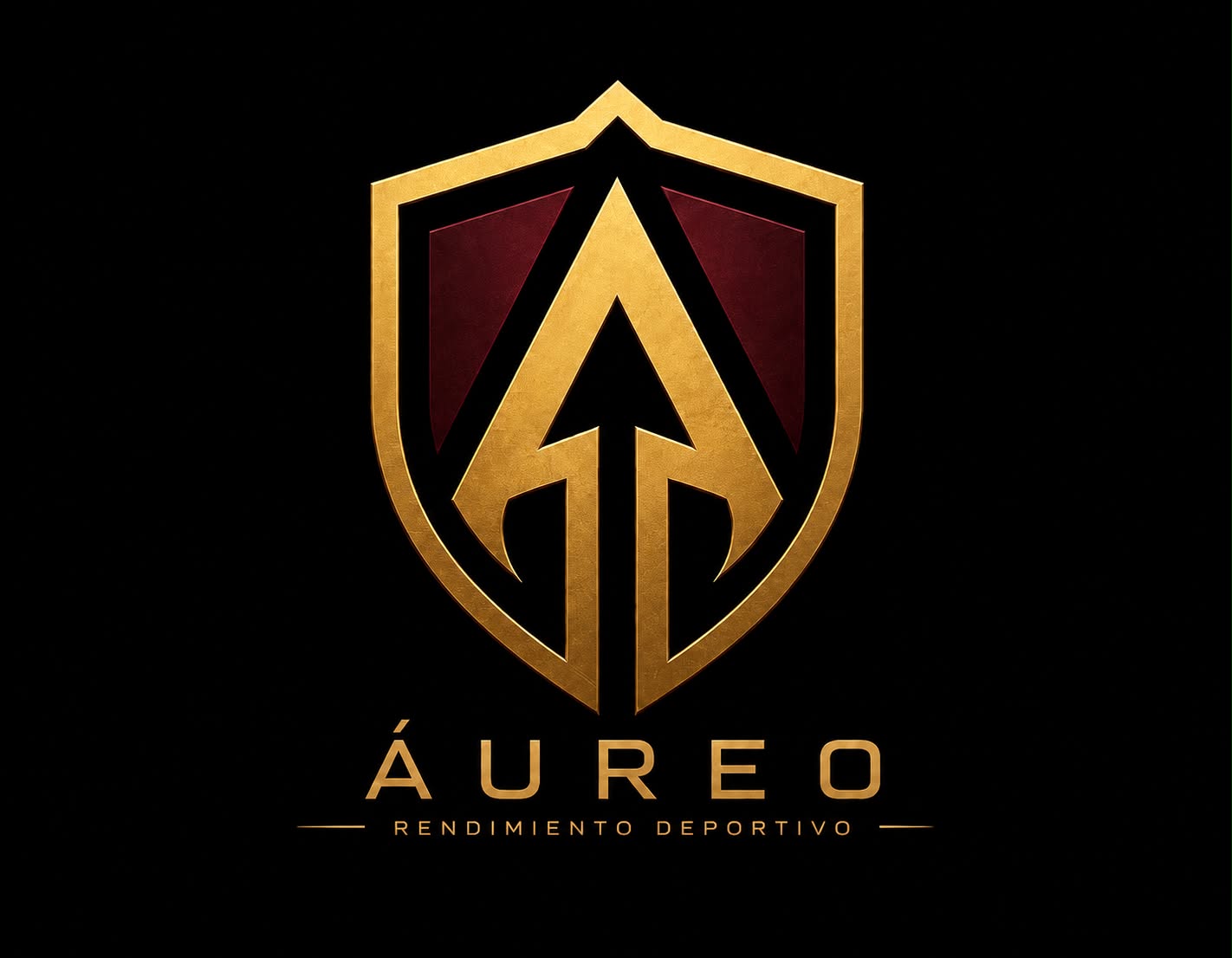 Aureo Gimnasio Logo